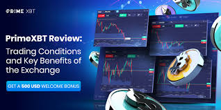 Unlocking Opportunities in Trading with PrimeXBT